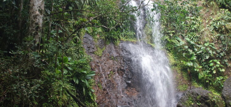 La Guadeloupe